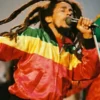 Bob Marley 1980 Concert Bomber Jacket